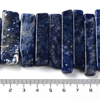 Natural Sodalite Beads Strands G-L551B-16-1