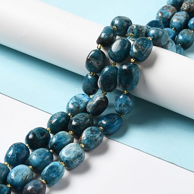 Natural Apatite Beads Strands G-B028-B09-1