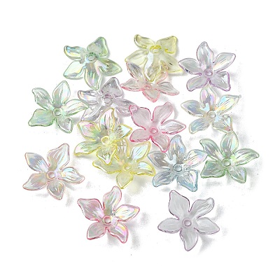 Transparent Acrylic Bead Caps OACR-O006-05-1