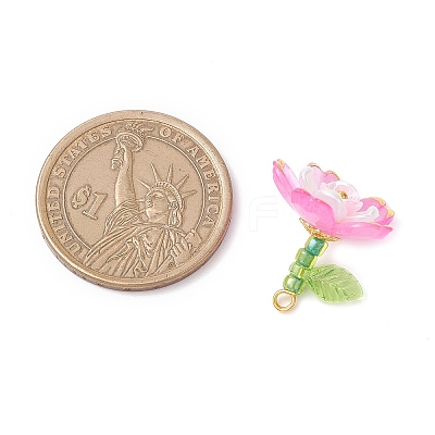 Transparent Acrylic Pendants PALLOY-MZ00822-1