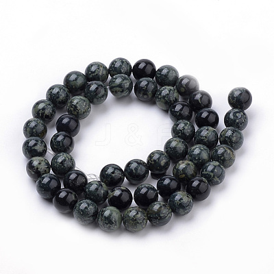 Natural Kambaba Jasper Beads Strands G-Q481-103-1