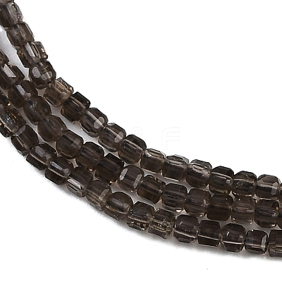 Natural Smoky Quartz Beads Strands G-P553-E06-01-1