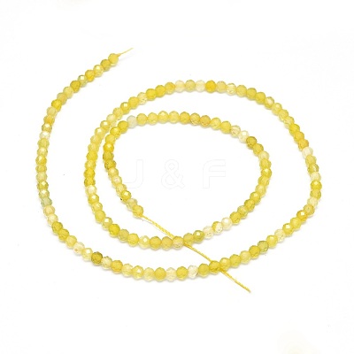 Natural Dyed & Heated Yellow Agate Beads Strands G-O180-05C-1