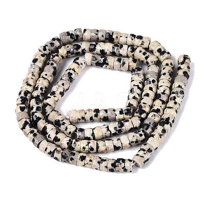 Natural Dalmatian Jasper Beads Strands G-Q606-46A-01-1
