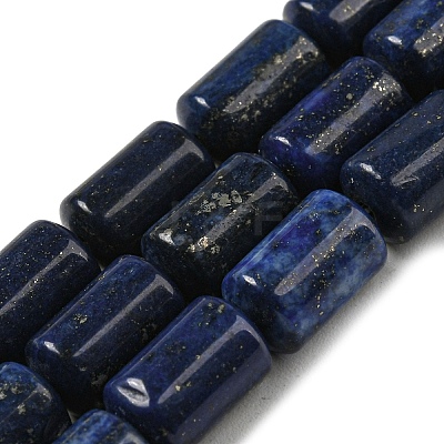 Natural Lapis Lazuli Beads Strands G-M420-E02-03-1