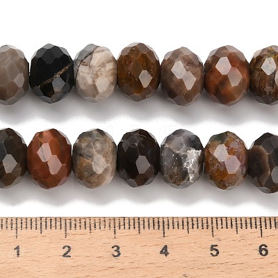 Natural Petrified Wood Beads Strands G-C259-A06-8x12mm-01-1