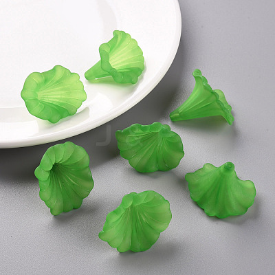 Transparent Acrylic Beads BSF796-C07-1