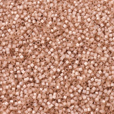 MIYUKI Delica Beads SEED-J020-DB0622-1