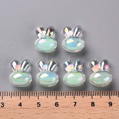 Transparent Acrylic Beads TACR-S152-05B-SS2111-1