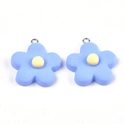 Resin Pendants X-RESI-Q207-01-1