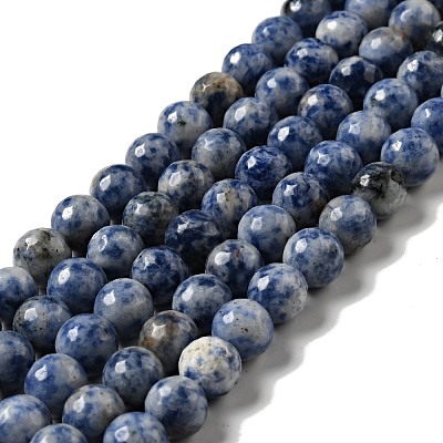 Natural Blue Spot Jasper Beads Strands G-P476-01D-02-1