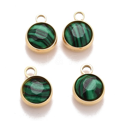 Faceted Natural Gemstone Charms STAS-D177-01G-1