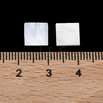 White Shell Cabochons SSHEL-I007-11-1
