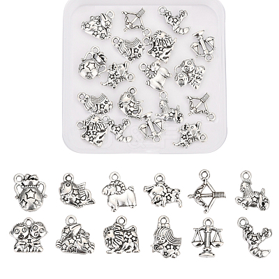 Zinc Alloy Charms PALLOY-CJ0001-100-1