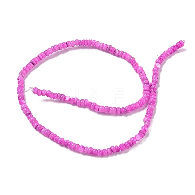 Dyed Natural Freshwater Shell Beads Strands BSHE-G039-07L-1