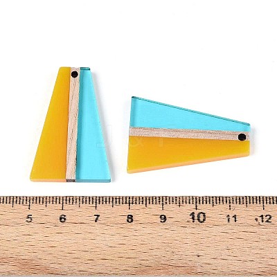 Transparent Resin & Wood Pendants RESI-T057-78-1