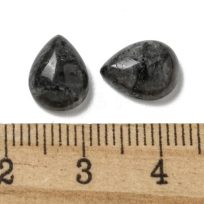 Natural Larvikite Cabochons G-Q173-02C-05-1