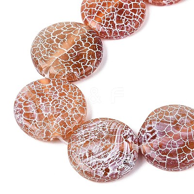 Natural Weathered Agate Beads Strands G-Q606-42D-1