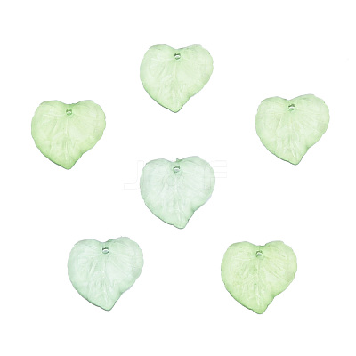 Transparent Acrylic Pendants DBLA410-10-1