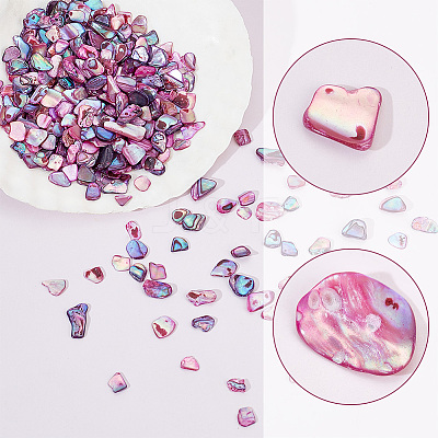 1 Bags Abalone Shell Flakes Cabochons SHEL-GA0001-17B-1