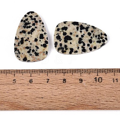 Natural Dalmatian Jasper Pendants G-Q601-38C-1