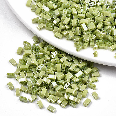 FGB 2-Hole Glass Seed Beads SEED-S031-M-SH124-1