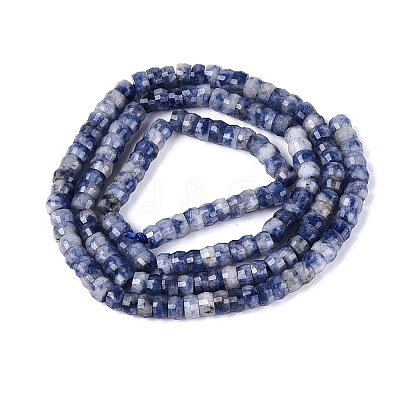 Natural Blue Spot Jasper Beads Strands G-Q606-46A-02-1