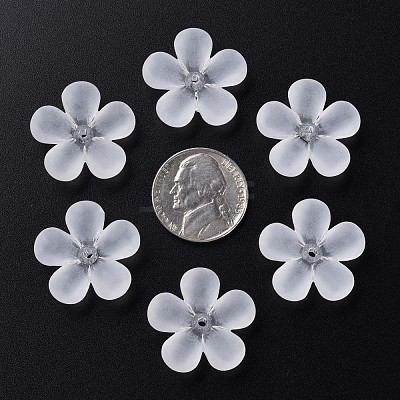 Transparent Acrylic Beads MACR-S373-116-D01-1