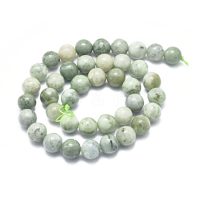 Natural Myanmar Jade/Burmese Jade Beads Strands G-D0001-08-10mm-1