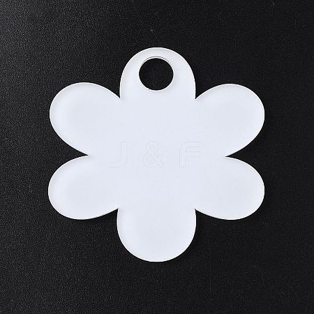 Acrylic Heat Transfer Big Pendants FIND-WH20002-24D-1