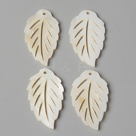 Natural Freshwater Shell Pendants SHEL-N026-88-1