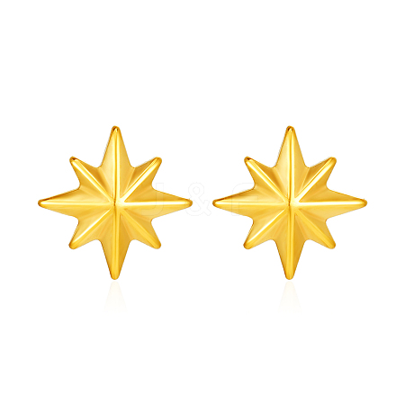 Simple 304 Stainless Steel Geometric Star Stud Earrings YE9764-1
