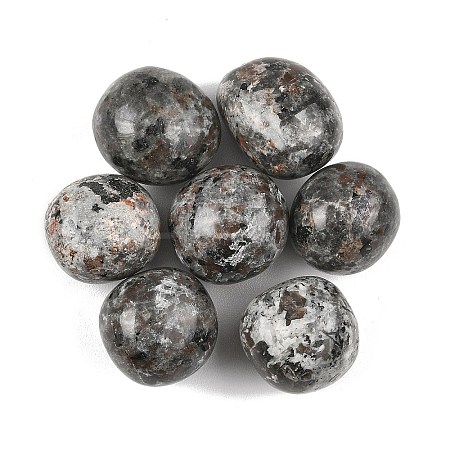 Natural Syenite Beads G-G348-01B-46-1