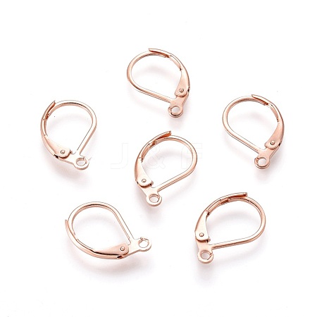 304 Stainless Steel Leverback Earring Findings STAS-P166-12RG-1