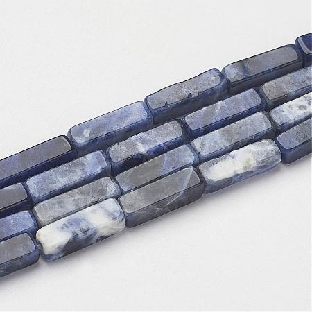 Natural Sodalite Beads Strands G-G968-D02-1