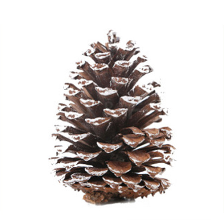 Wood Artificial Pine Cone HULI-PW0002-034C-1