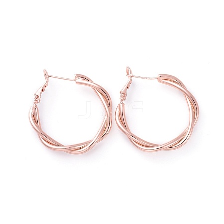 Brass Hoop Earrings EJEW-L234-01RG-1