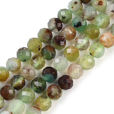 Natural Serpentine Beads Strands G-B107-A05-06-1