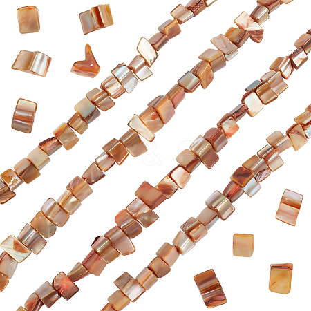 4 Strands Dyed Natural Freshwater Shell Beads Strands SHEL-BBC0001-14A-1