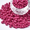 6/0 Glass Seed Beads SEED-S058-A-F421-1