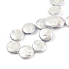 Plating Natural Freshwater Shell Beads Strands SHEL-N026-225B-4