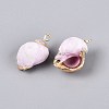 Electroplate Natural Sea Shell Pendants BSHE-Q020-02-2