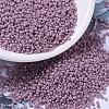 MIYUKI Round Rocailles Beads SEED-G007-RR2024-1