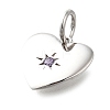 925 Sterling Silver Micro Pave Clear Cubic Zirconia Charms STER-V001-01P-02-2