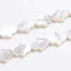 Natural White Shell Mother of Pearl Shell Beads X-SSHEL-L017-006-1