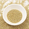MIYUKI Delica Beads SEED-X0054-DB0034-2