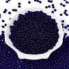 FGB Transparent Glass Seed Beads SEED-N013-01A-03-2