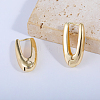 Oval Brass Hoop Earrings WC9098-3