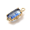 Brass Glass Charms KK-U061-10G-02-2