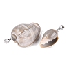 Brass & Natural Oliva Shell Pendants SHEL-Q029-22P-2